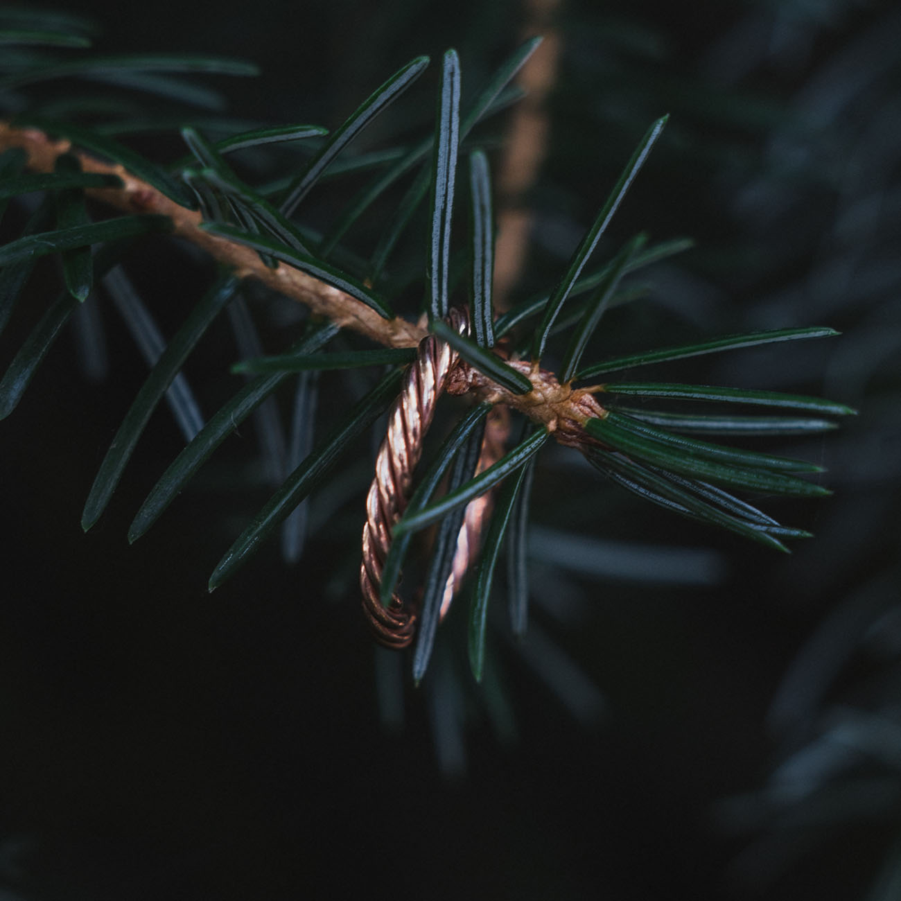 Kupferner Tensor-Ring in Roségoldfarbe – Schutzamulett