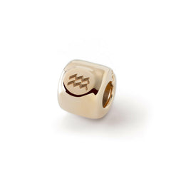 Charms mit Sternzeichen Wassermann (♒︎) Vergoldet - Silber 925